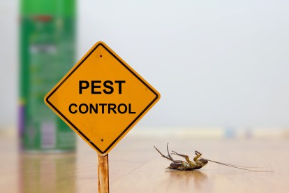 Pest Contol in Upper Edmonton, N18. Call Now 020 8166 9746