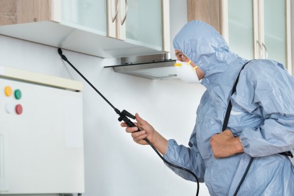 Home Pest Control, Pest Control in Upper Edmonton, N18. Call Now 020 8166 9746